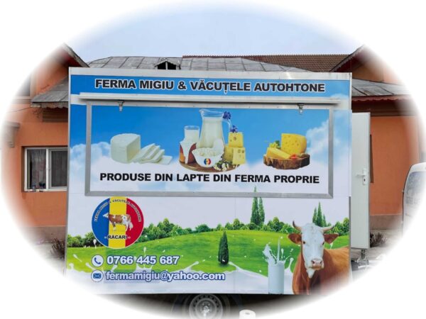 Inscriptionari auto - imagine 5